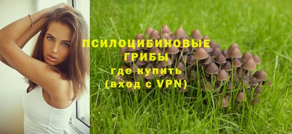 винт Гусев