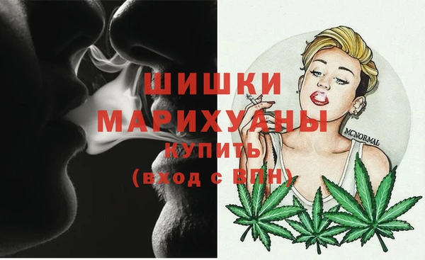 стафф Гусь-Хрустальный